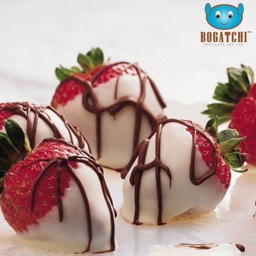 BOGATCHI Cooking Chocolate Bar| COMPOUND Chocolate |GLUTEN FREE |White Compound Chocolate Bars for baking, 480g